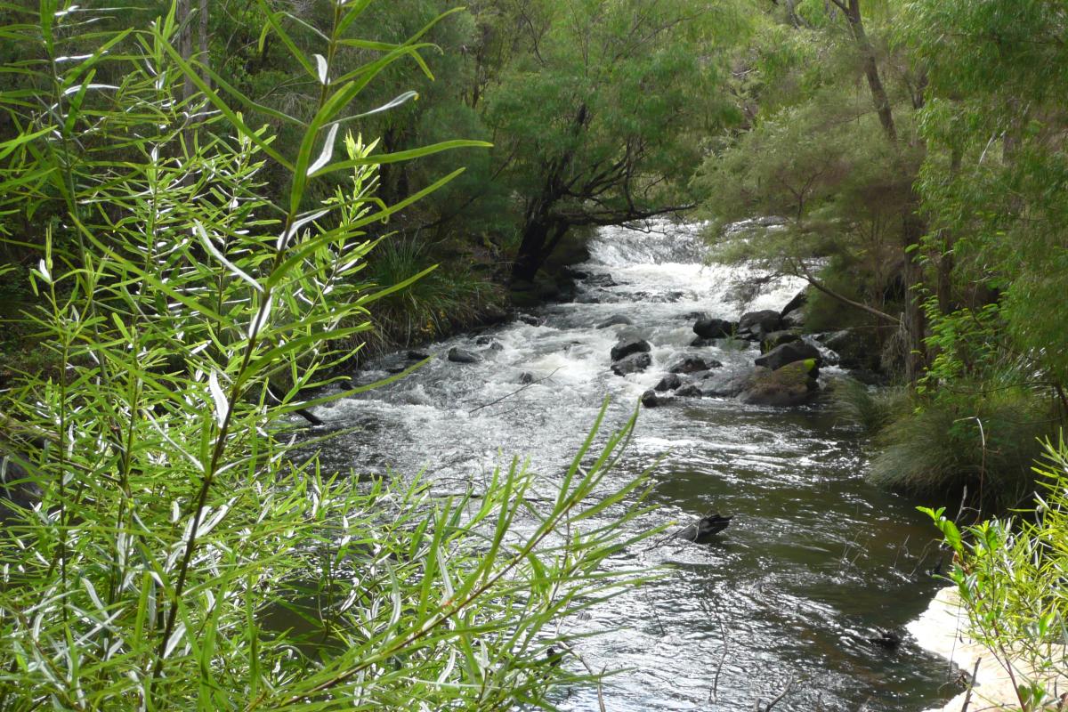 cascades-gloucester-national-park-bron-anderson2