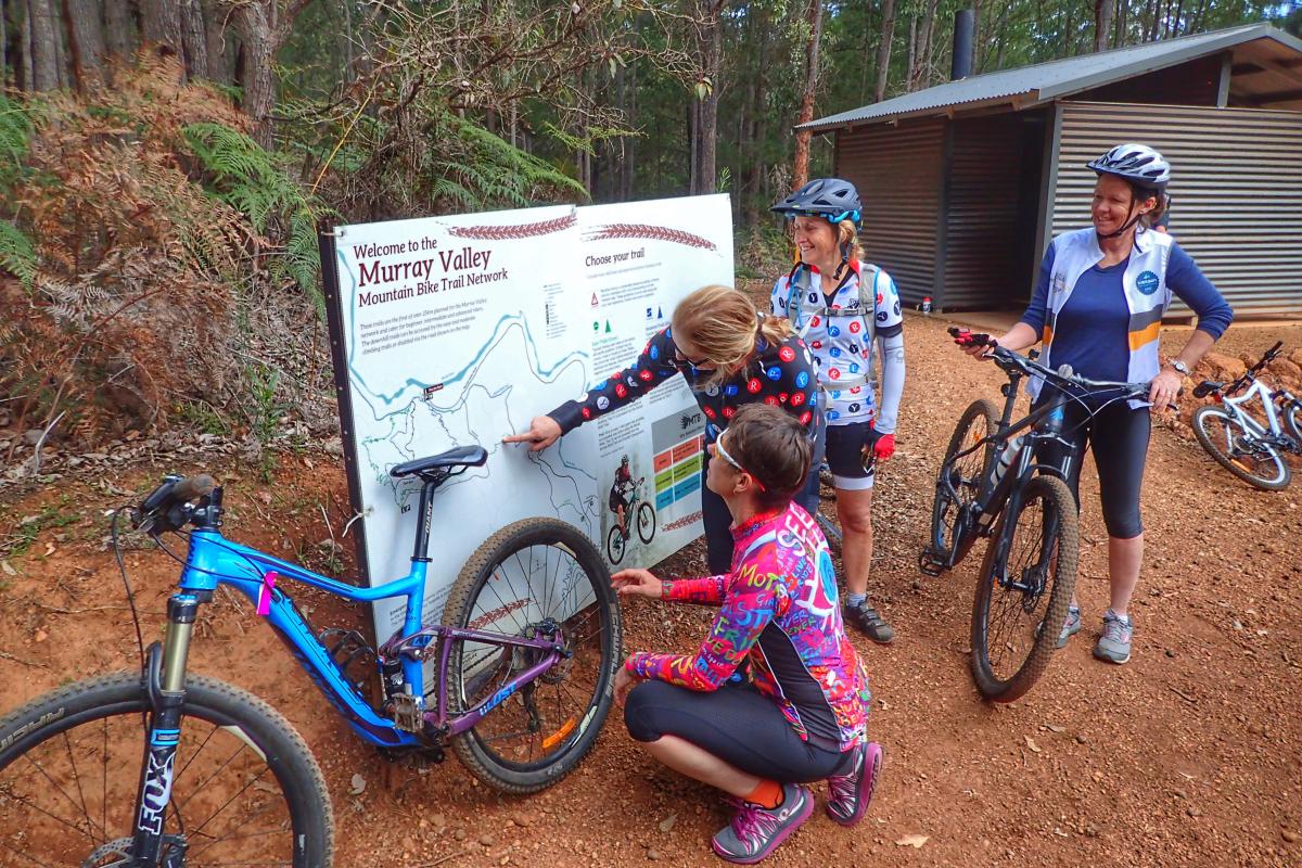 People reading the signs at Dwellingup Adventure Trails