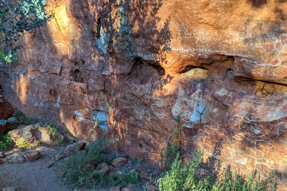 Cultural rock art on walk trail departing from Edneys - Ooramboo