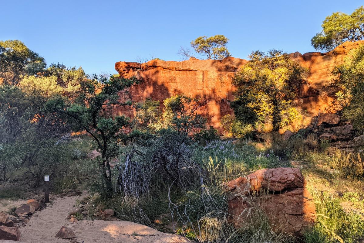 walk trail at Edneys - Ooramboo