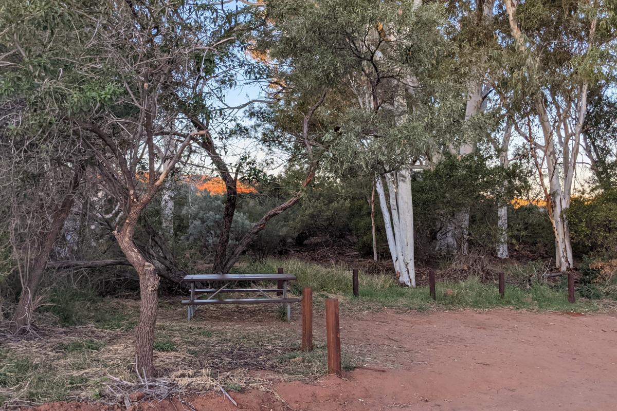 Picnic bench at Edneys - Ooramboo