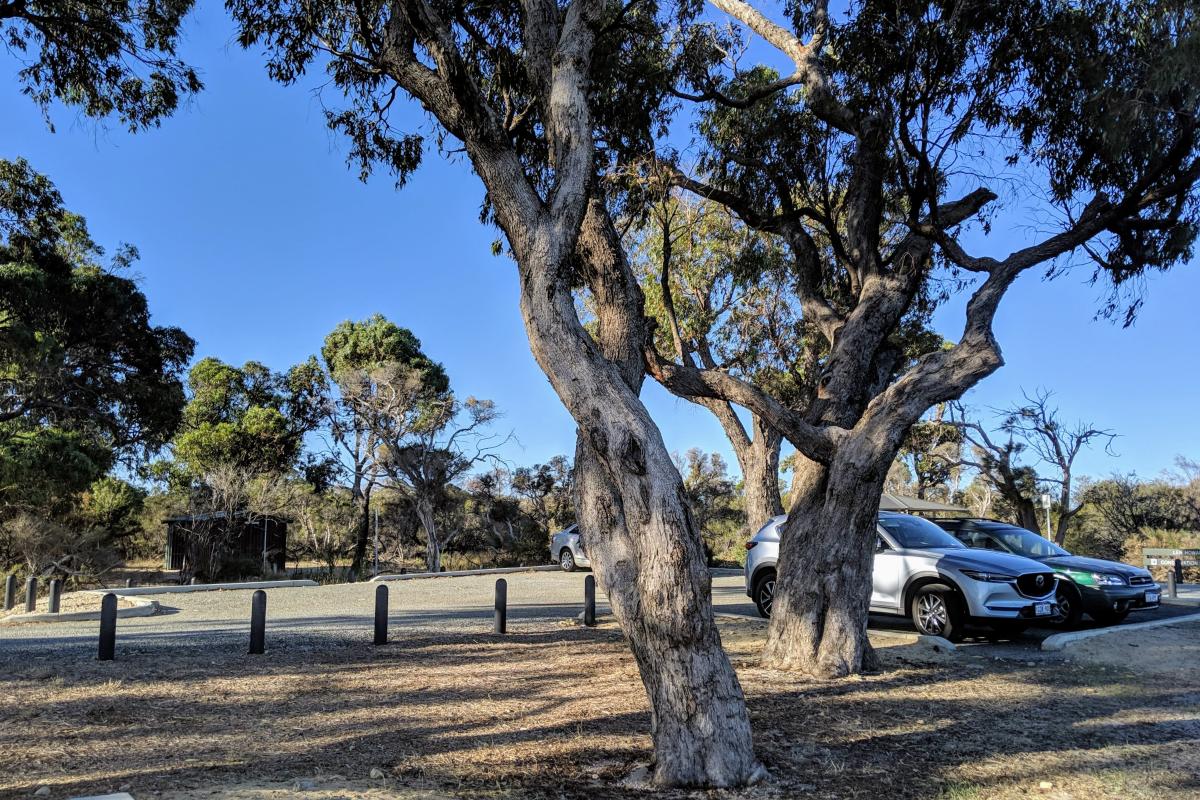 vehicles in the Parking area at Len Howard picnic area