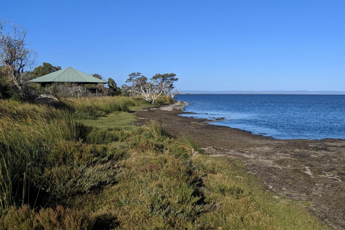 views over the estuary at Len Howard picnic area