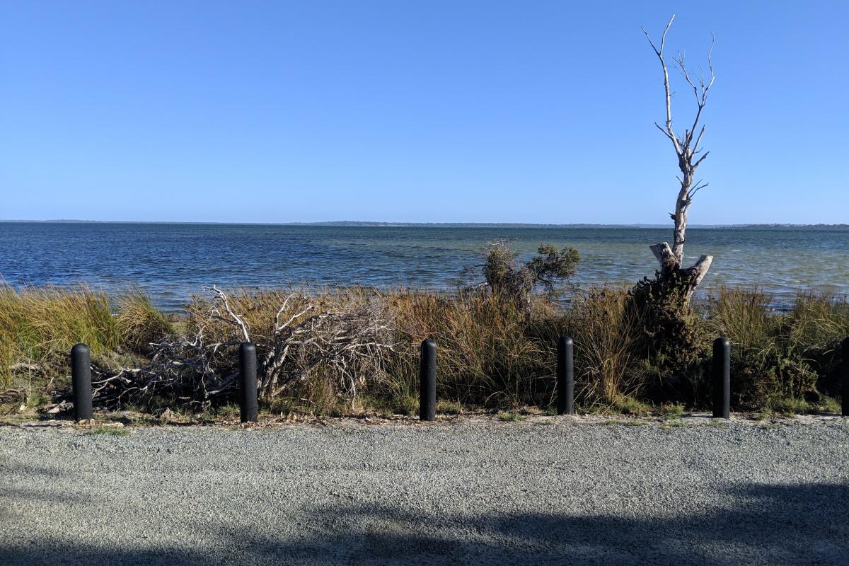 views over the wetlands at Len Howard picnic area