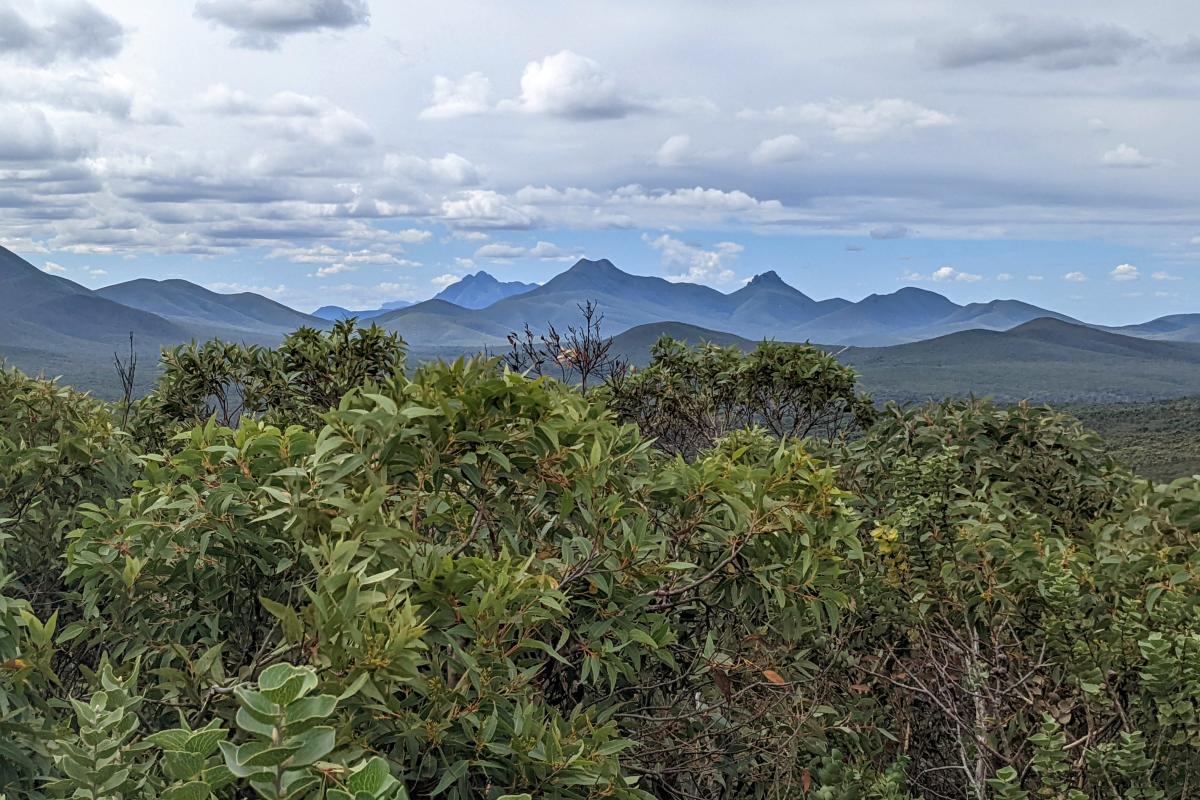 View of Toolbrunup, Mount Magog and Talyuberlup from Western Lookout View of Toolbrunup, Mount Magog and Talyuberlup from Western Lookout