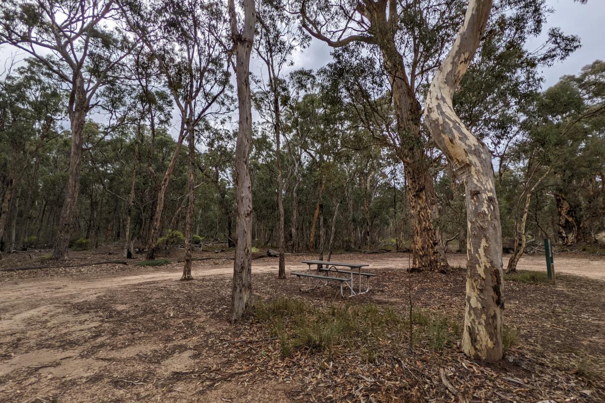 Parking area and picnic bench at White Gum Flat