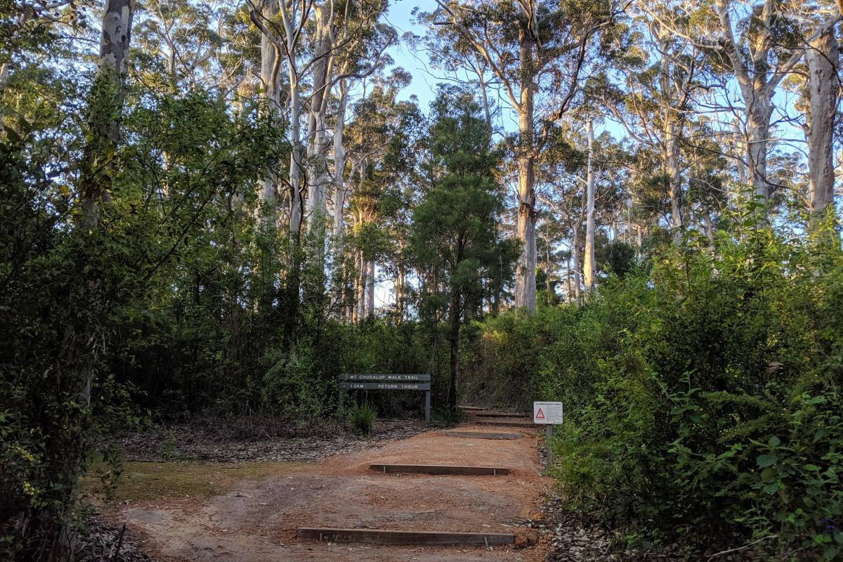 Start of the Mount Chudalup walk trail