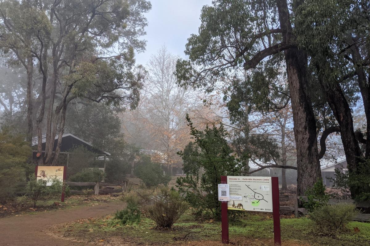 Misty makuru morning at Perth Hills Discovery Centre