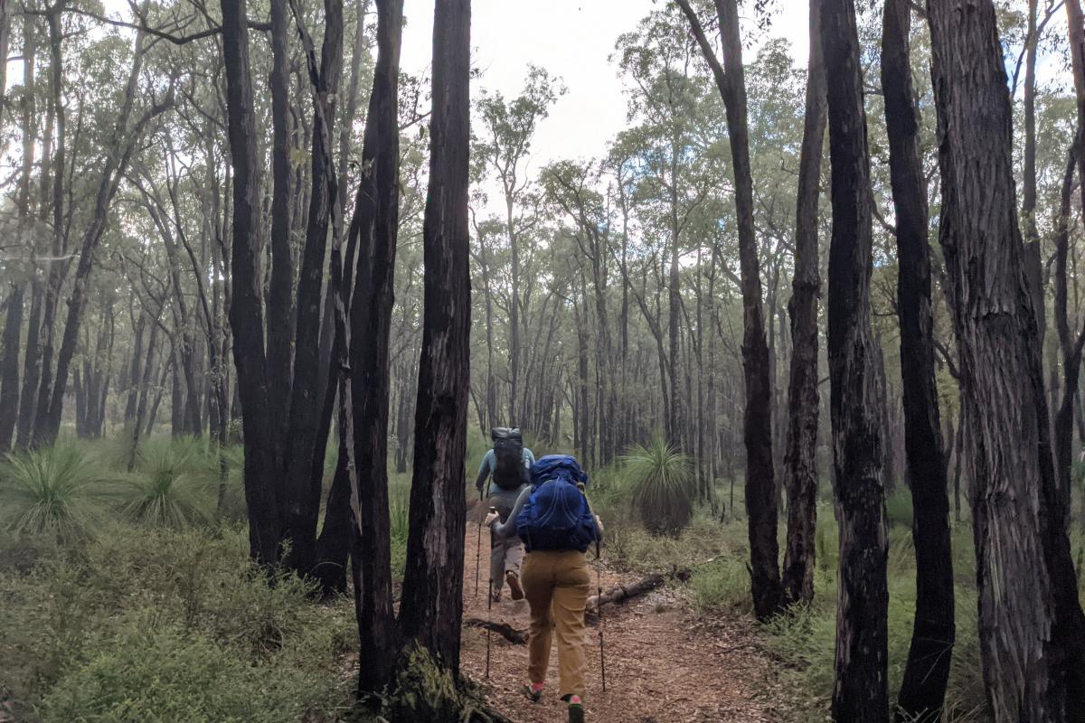 Starting a hike from Perth Hills Discovery Centre