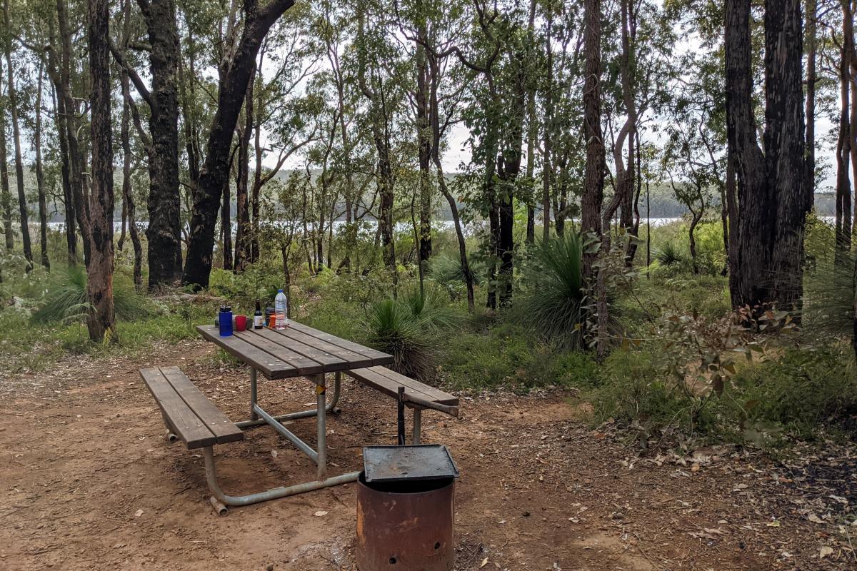 Campsite at Potters Gorge