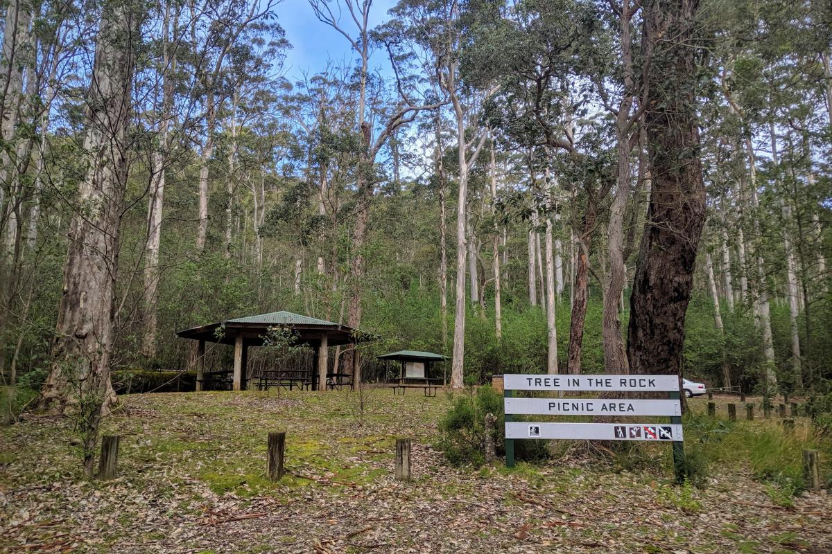 Tree-in-the-rock Picnic Area