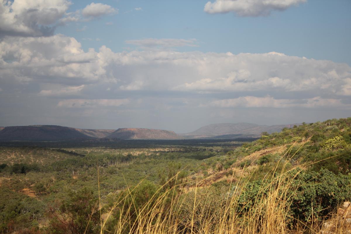 View over the park with the range in the backgroud and cloudy sky