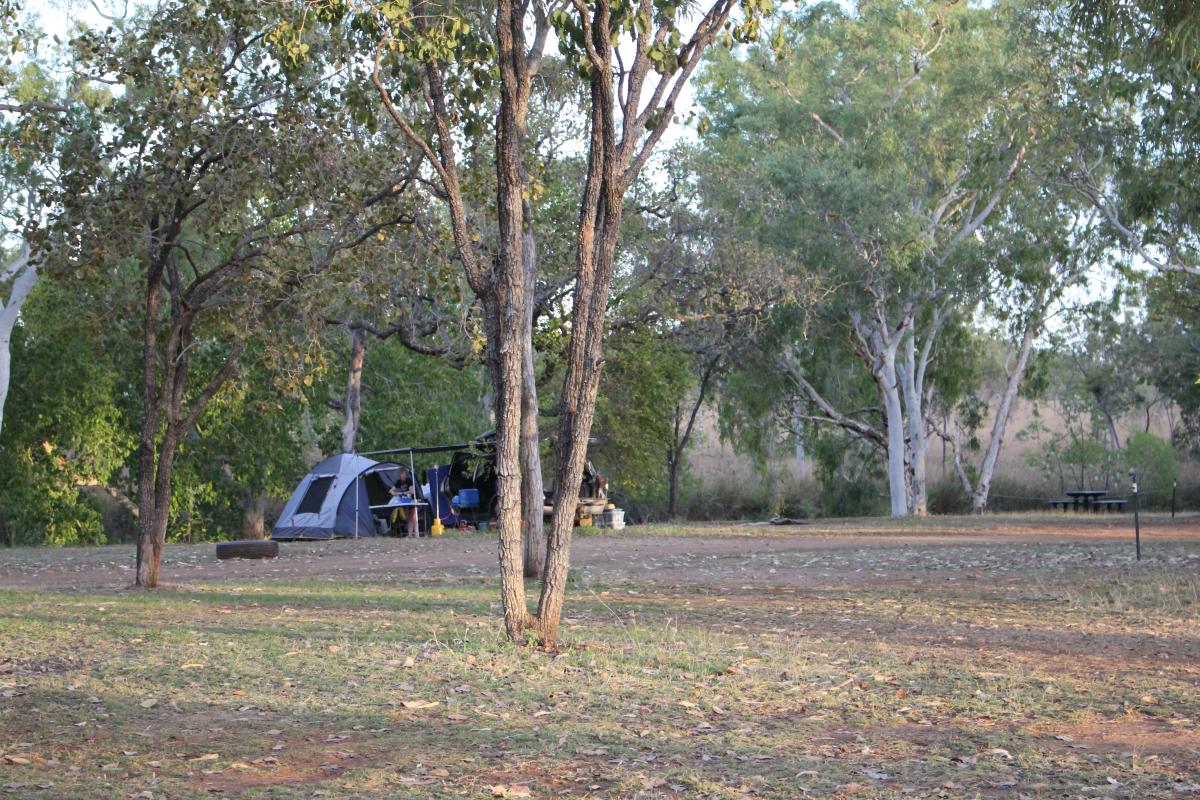 Tent camp set up at Walarra mindi tent campers set up in a shaded area of the campground