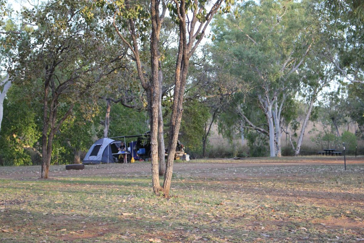 tent campers set up in a shaded area of the campground