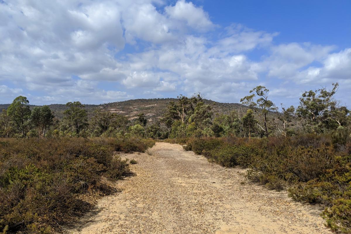 Along the Kangaroo Trail in Walyunga National Park