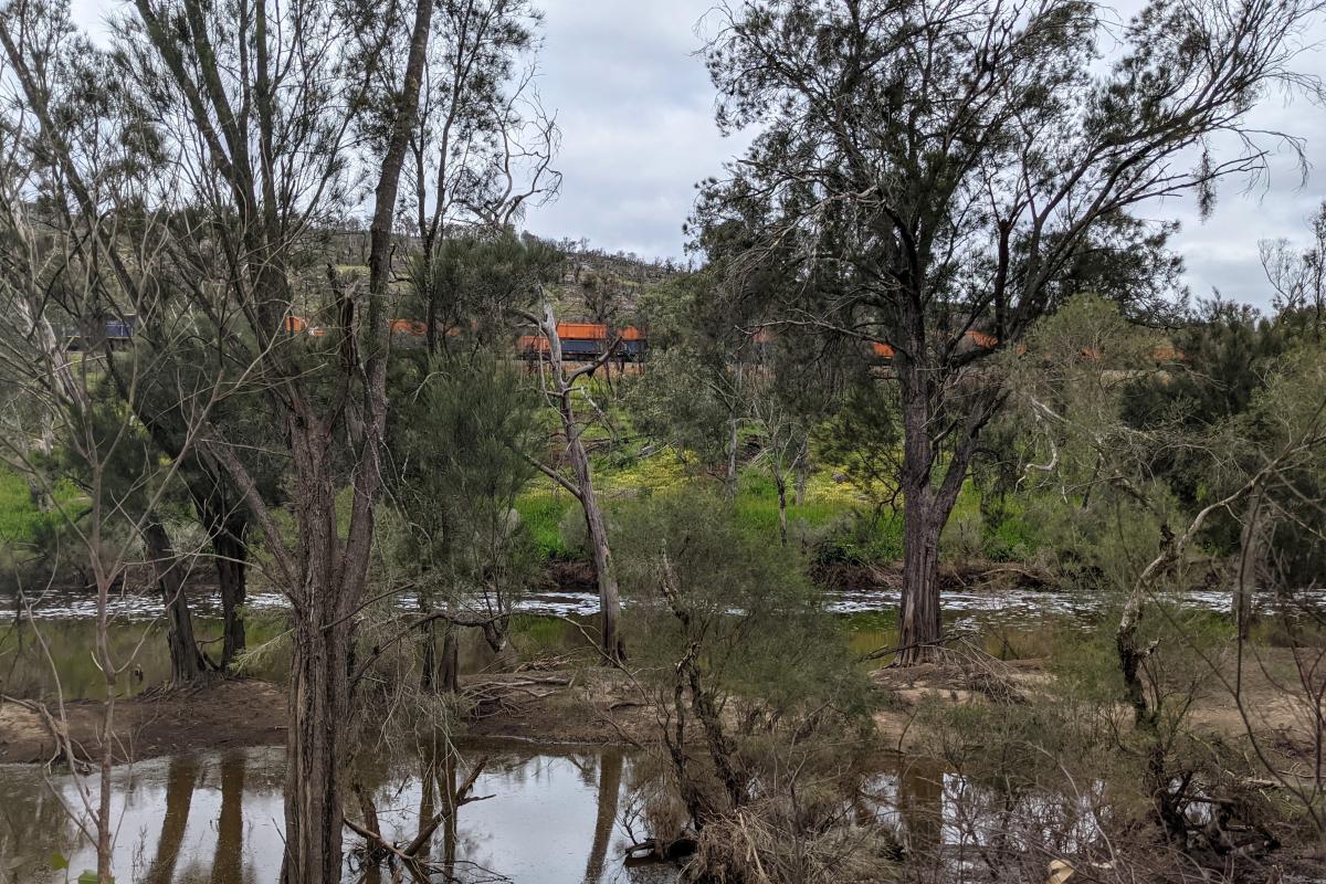 A freight train visible over the Avon River