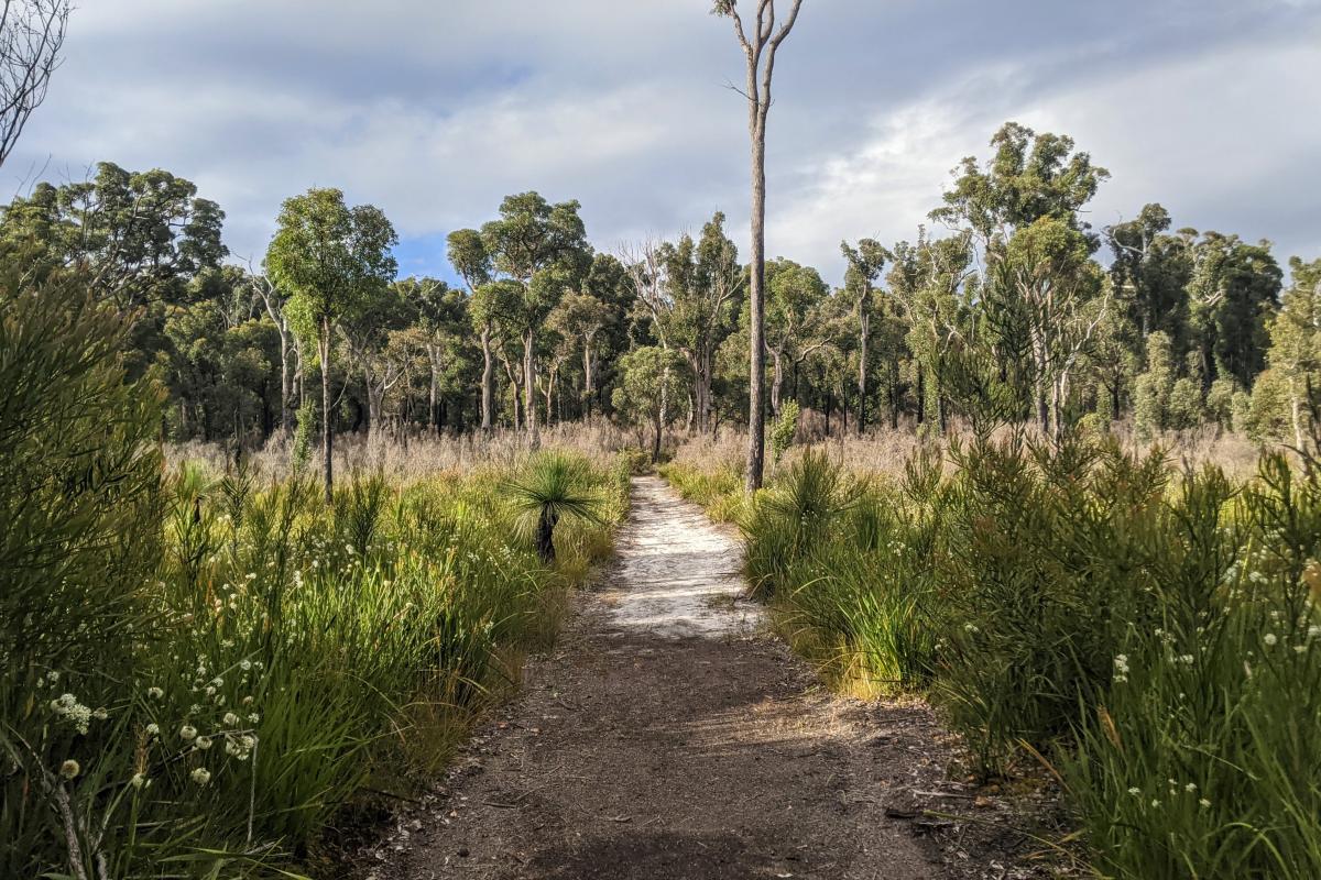 The Bibbulmun Track through Jane National Park