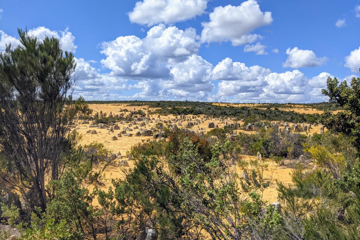 The Pinnacles