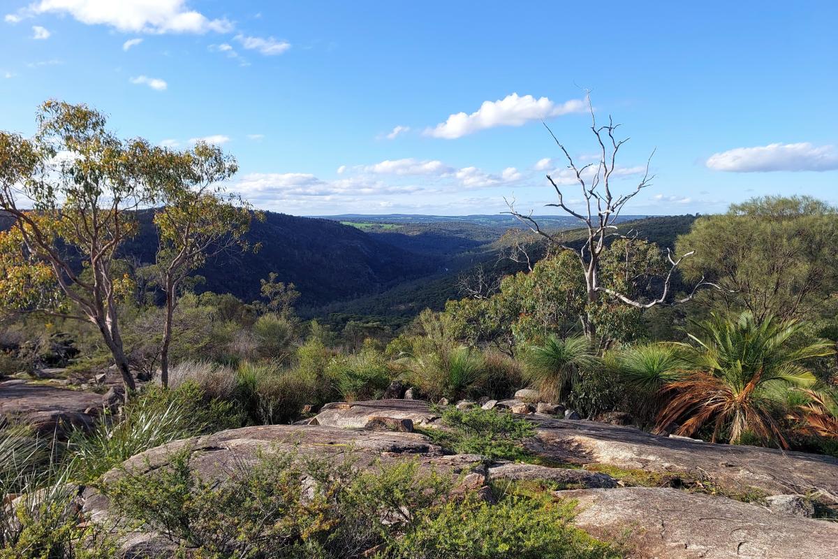 View from Bald Hill in Avon Valley National Park