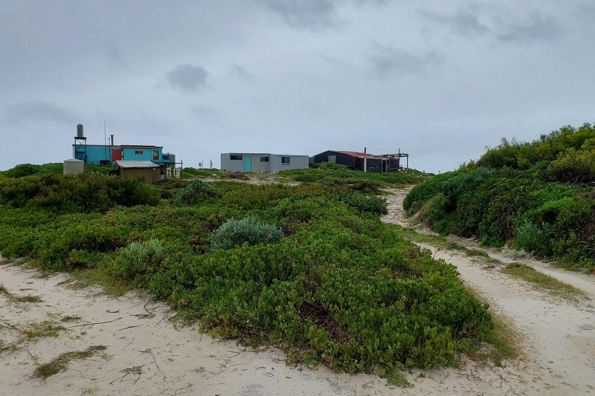 Grey shacks Grey shacks