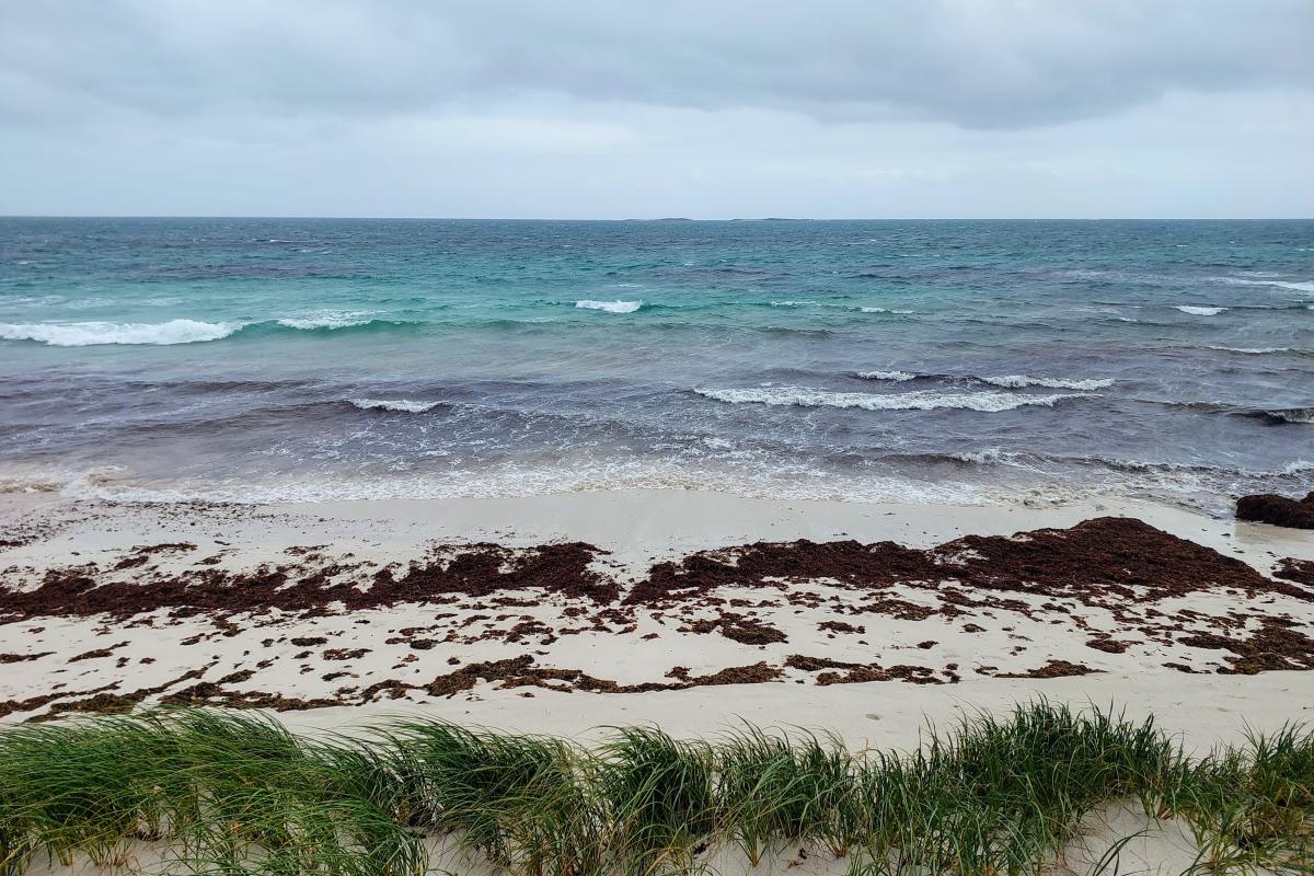 Beach south of Grey Beach south of Grey