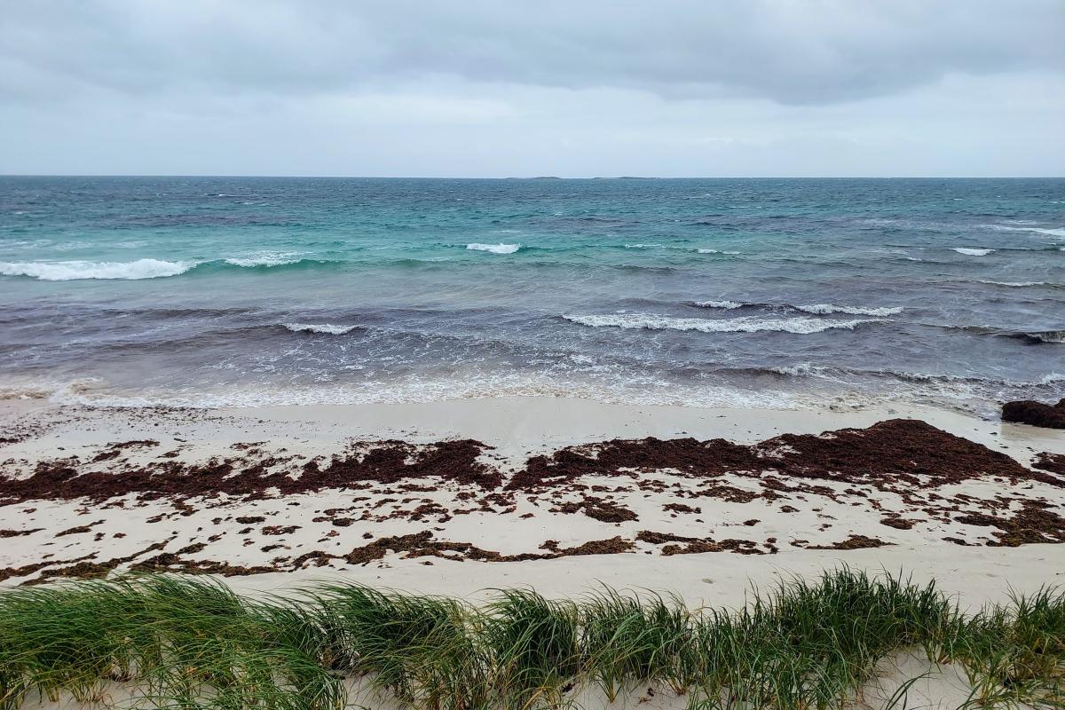 Beach south of Grey