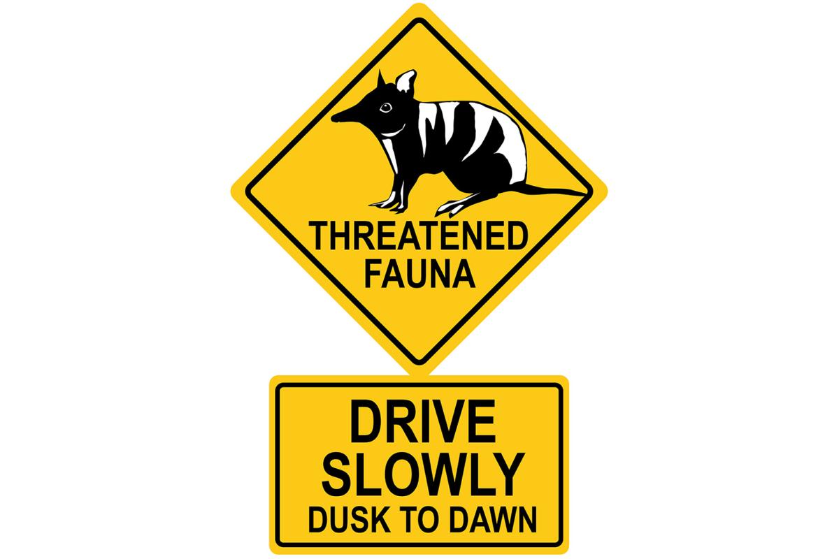 Illustration - threatened fauna, drive slowly dusk to dawn