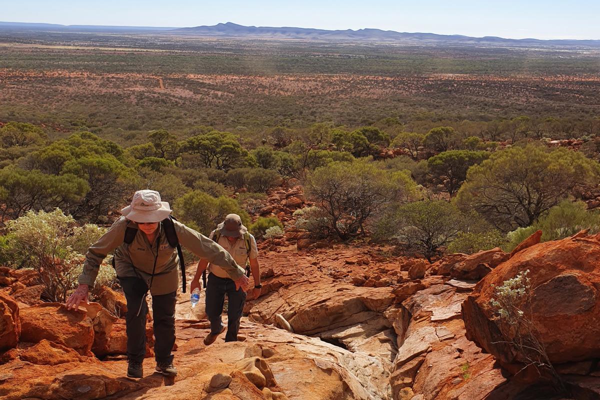 Hikers on Summit Trail in Mount Augustus National Park 