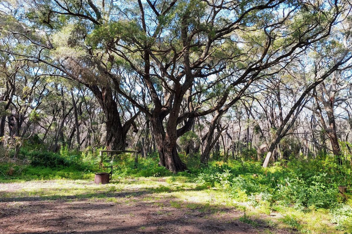 Point Road Campground