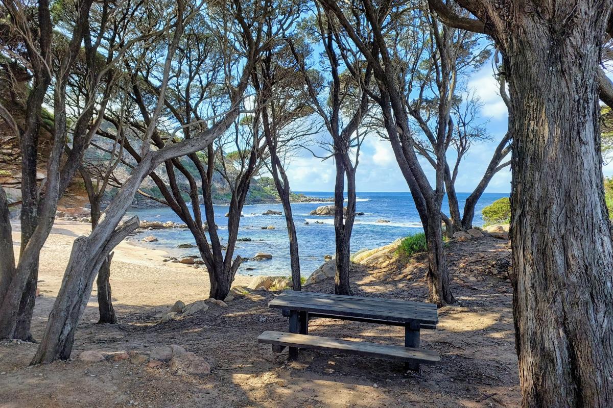 Picnic bench at Shelley Cove
