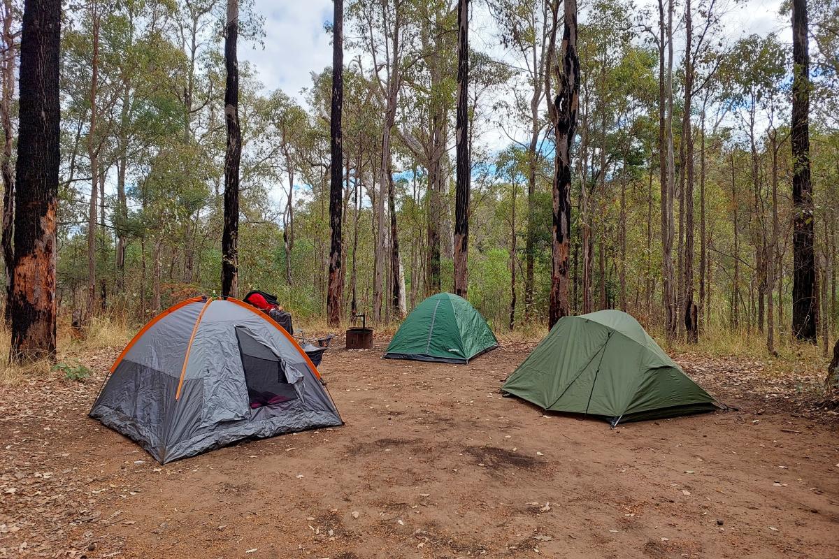 Campsite 9 at Wrights Bridge Campground