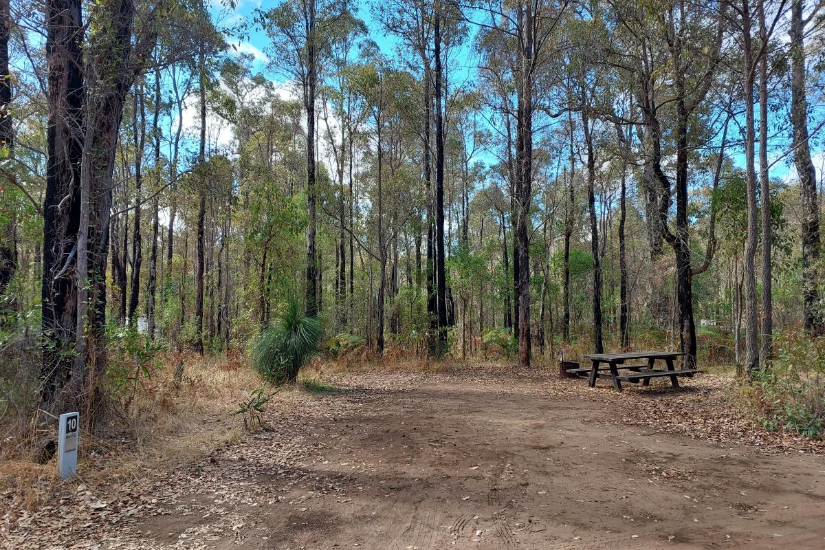 Campsite 10 at Wrights Bridge Campground