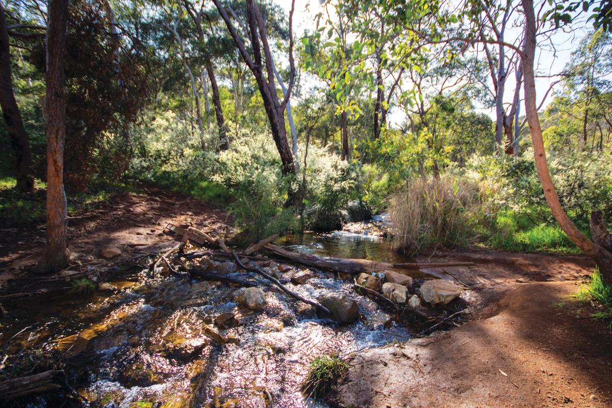 Lesmurdie Falls 