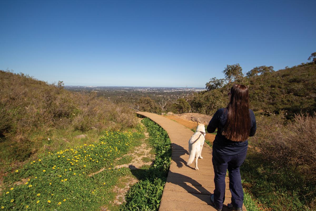 Walking the dog on a leash in Mundy Regional Park Walking the dog on a leash in Mundy Regional Park