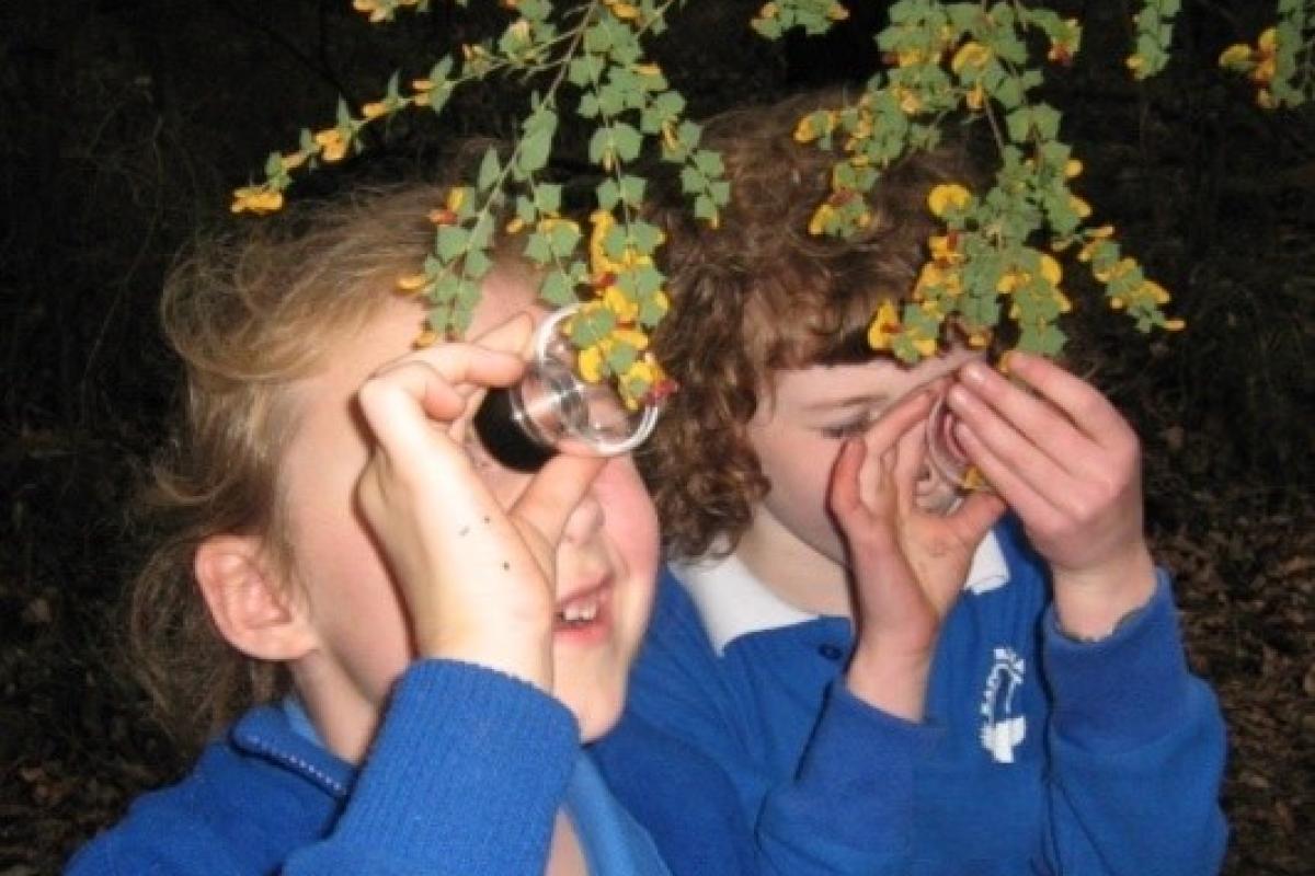 Children looking closely at flora