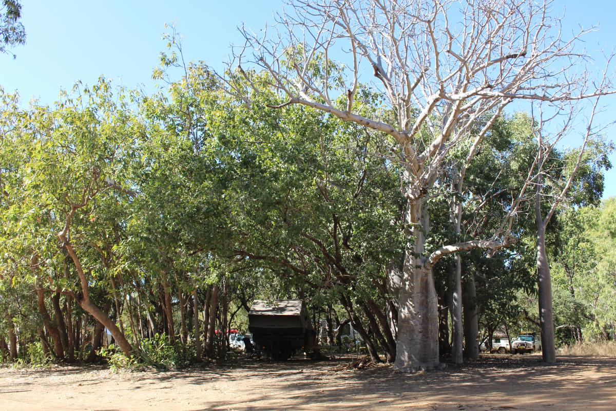 dulundi-silent-grove-campground-wunaamin-conservation-park-dbca2.jpg