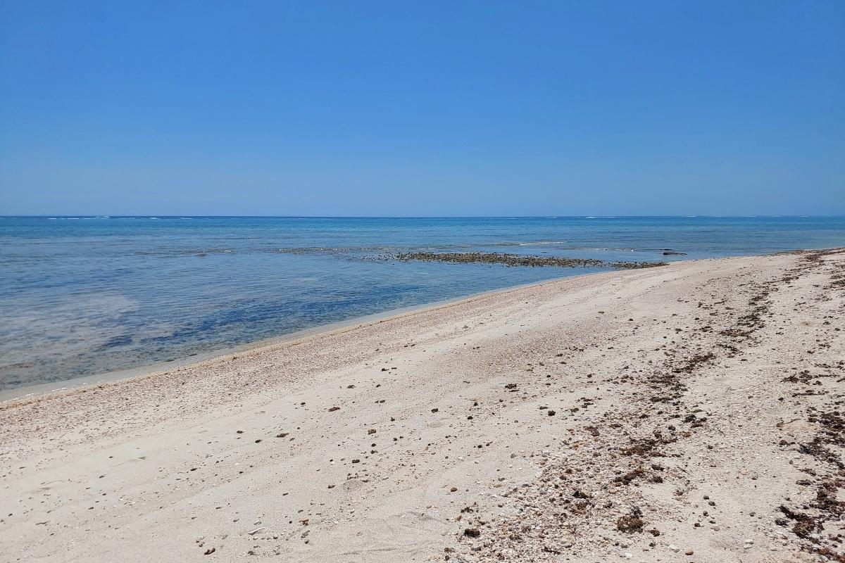 The beach at Bloodwood Creek The beach at Bloodwood Creek