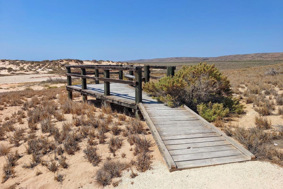 Bloodwood Creek lookout