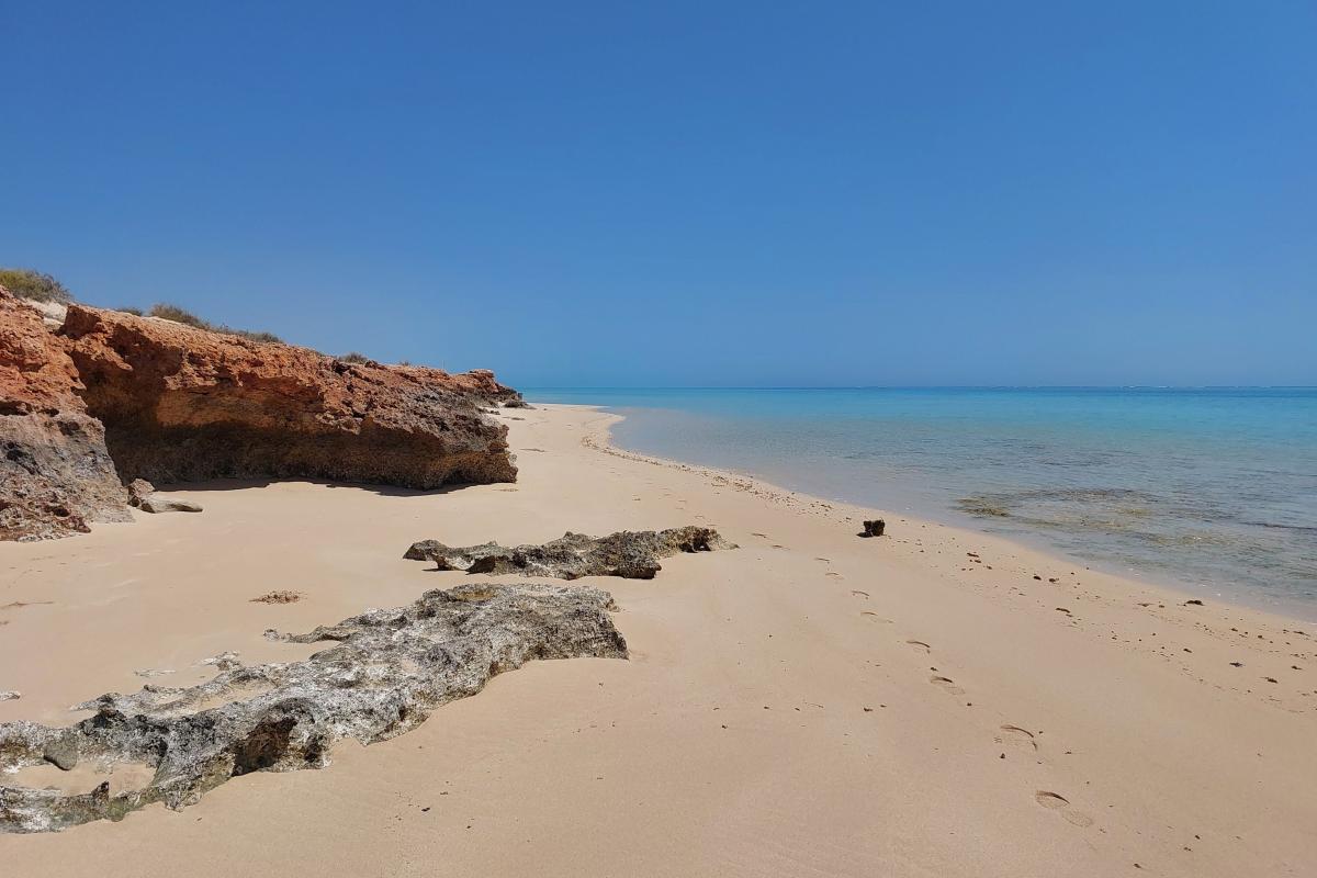 Beach closest to Bungarra Campground Beach closest to Bungarra Campground