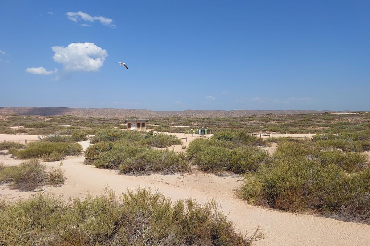 North Kurrajong Campground with Cape Range in the background