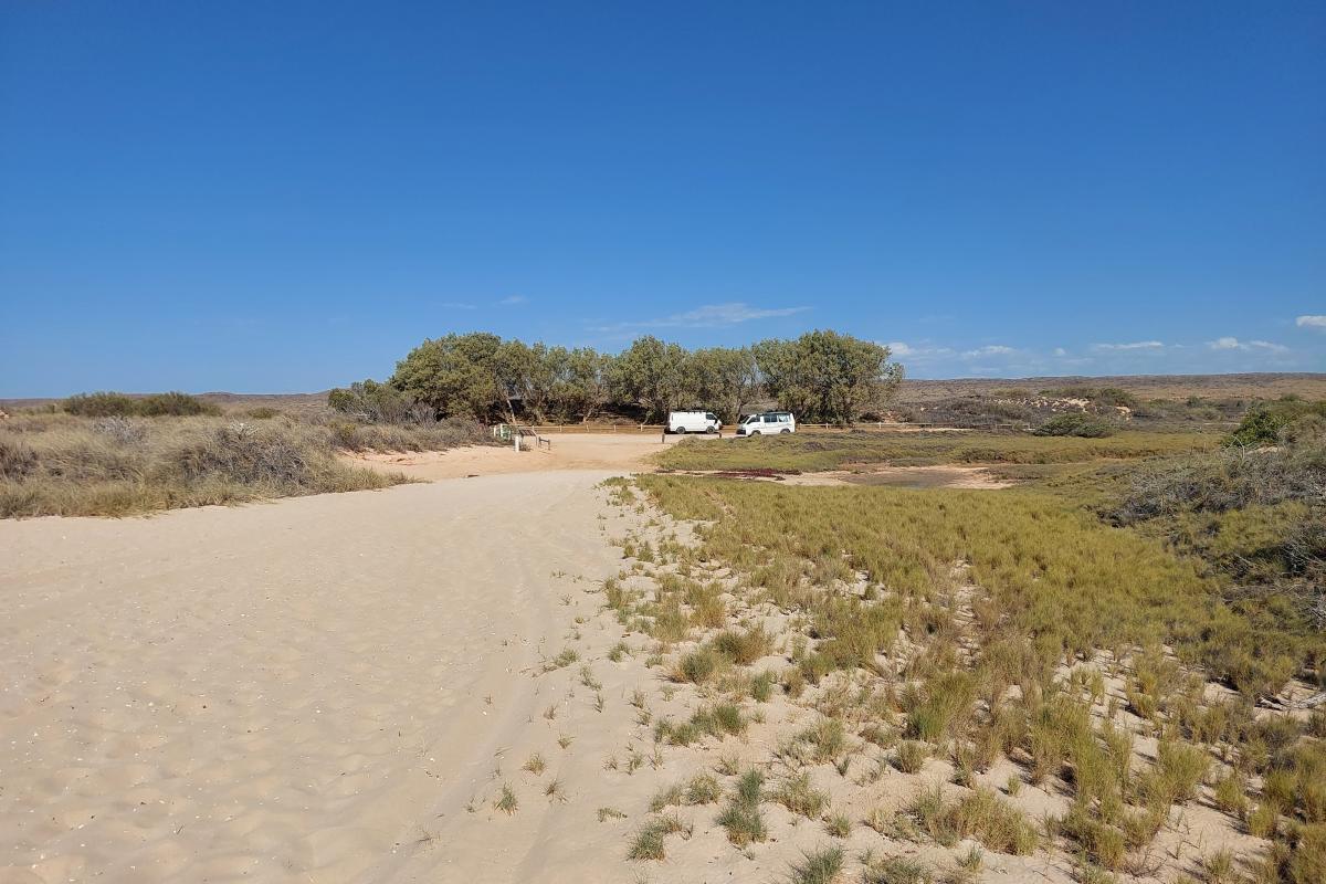 Neds Campground and Picnic Area