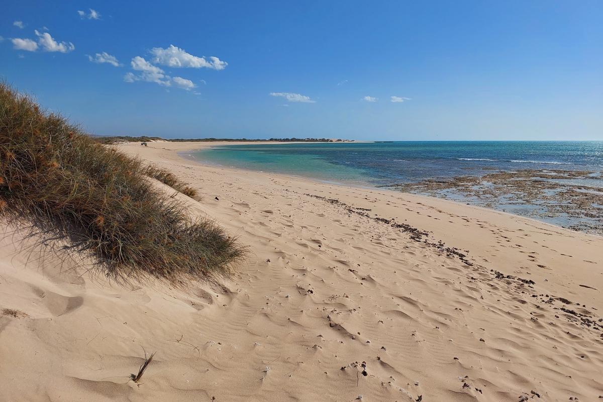 Beach in front of Neds Campground