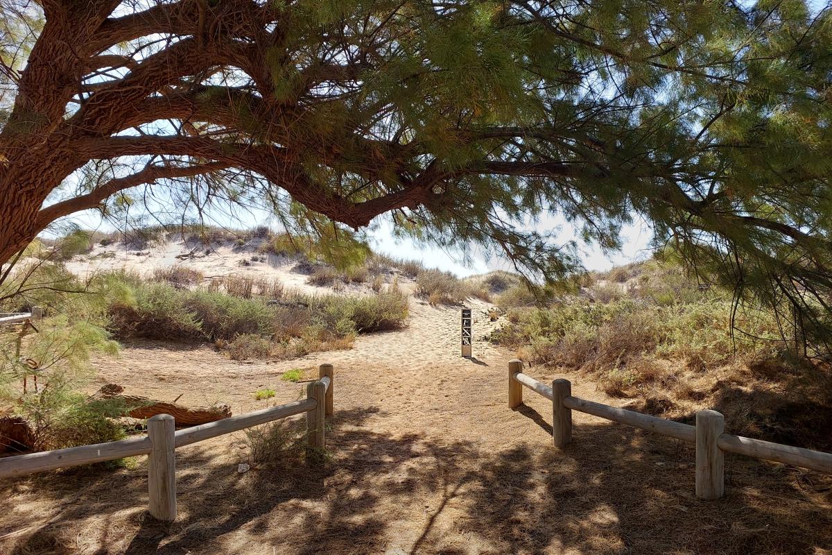 Neds Campground Neds Campground