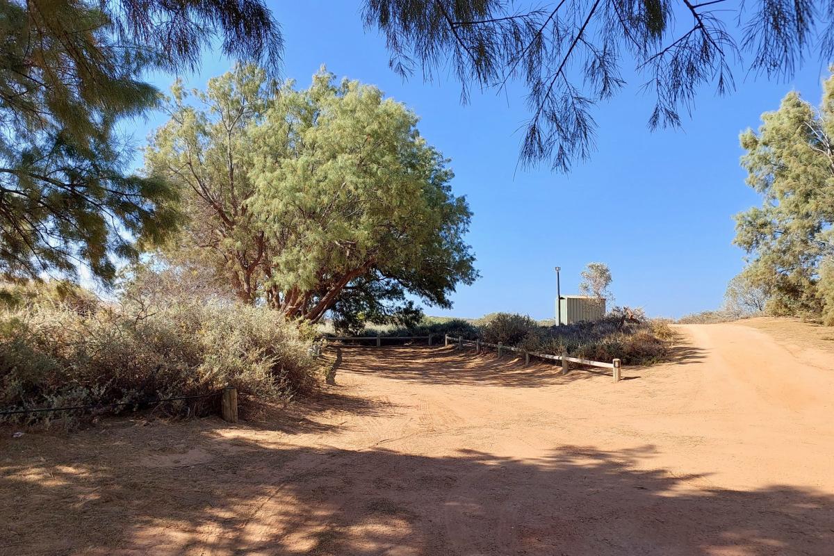 Neds Campground Neds Campground