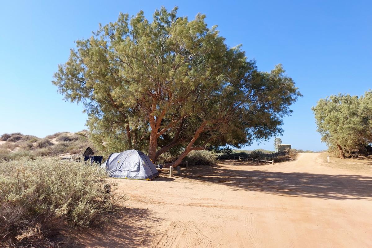 Neds Campground Neds Campground