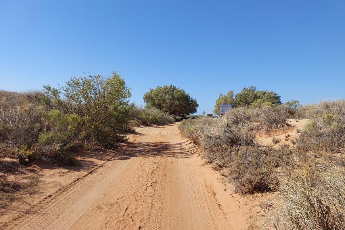 Neds Campground Neds Campground