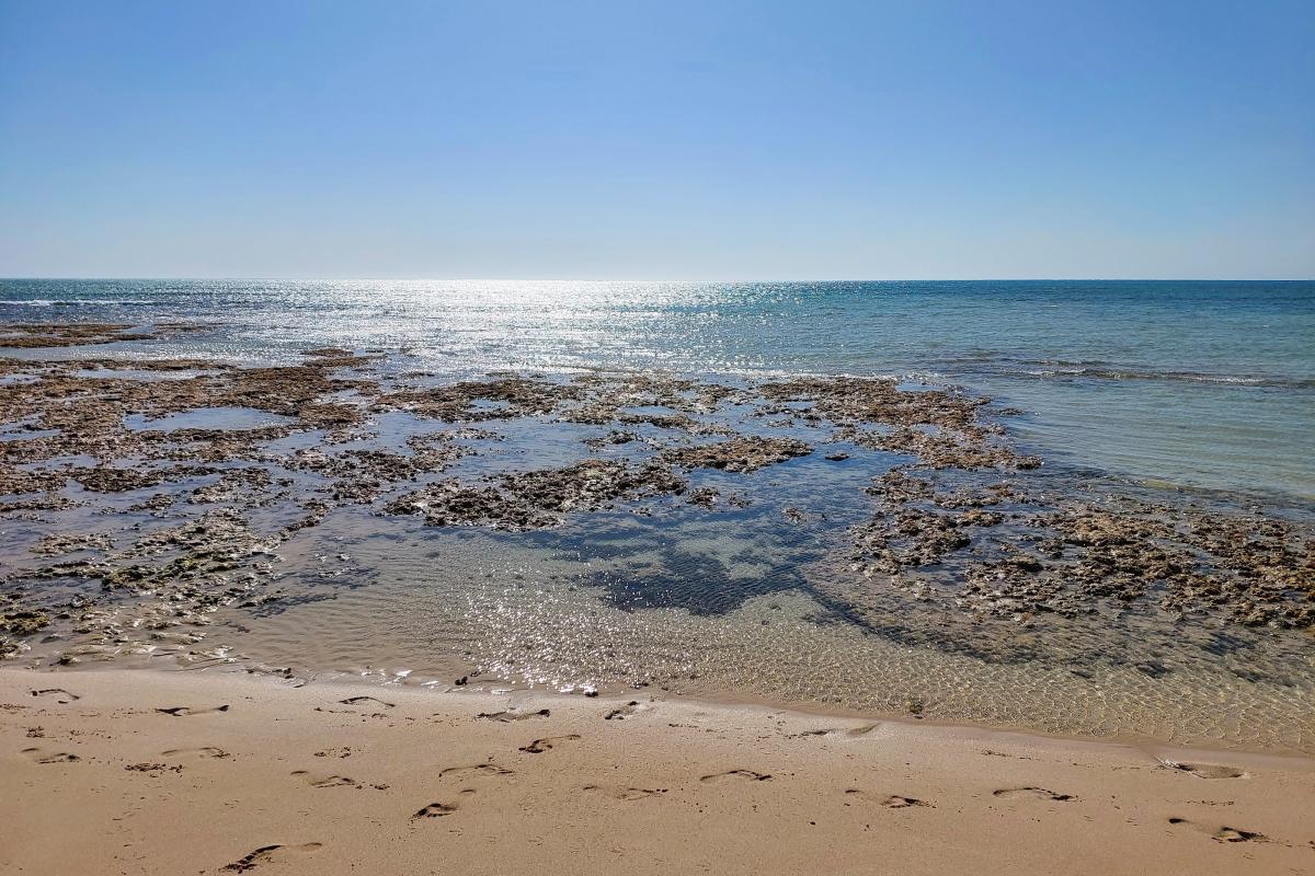 Beach in front of Neds Campground