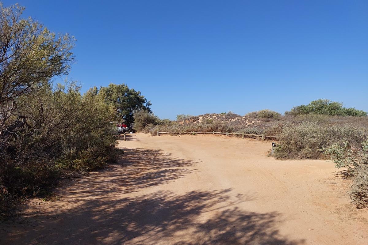 Neds Campground Neds Campground