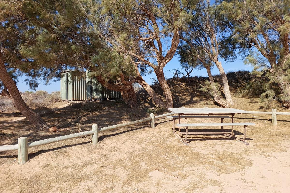 Picnic area at Neds Campground Picnic area at Neds Campground