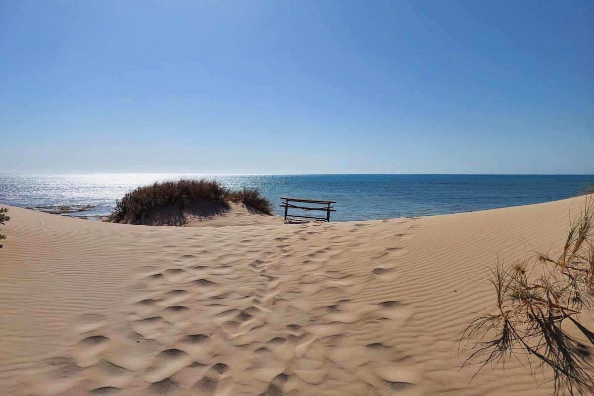 Sanddune at Neds Campground Sanddune at Neds Campground